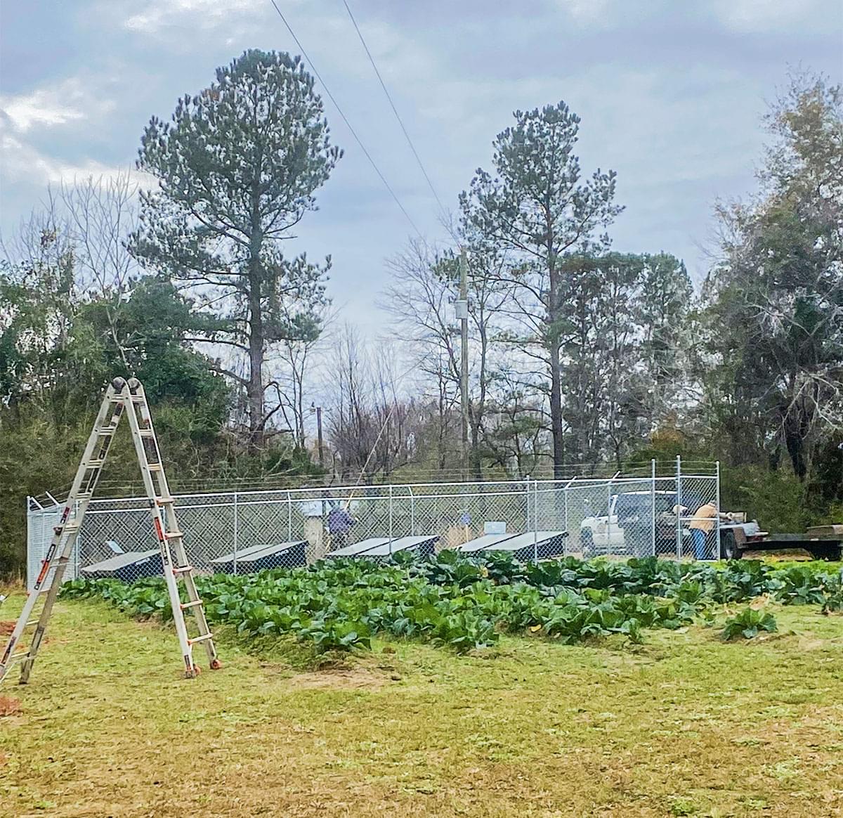 Hydropanels at New Alpha Community Development Corporation’s new
														environmental justice training center.